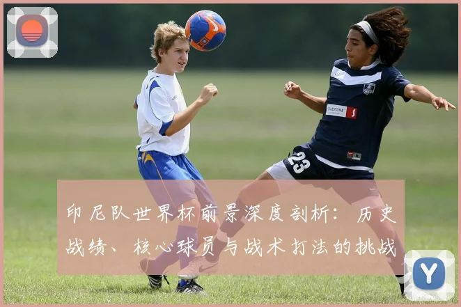 印尼队世界杯前景深度剖析：历史战绩、核心球员与战术打法的挑战机遇